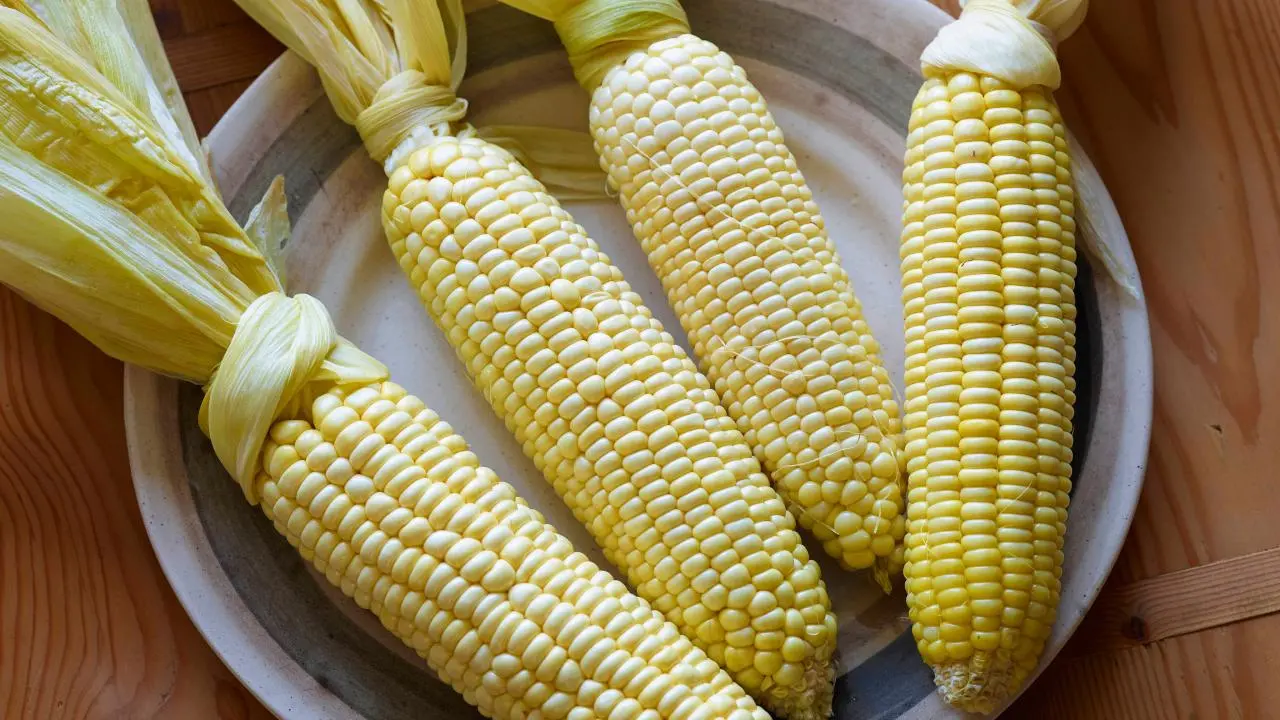 oven roasted corn on the cob in husk